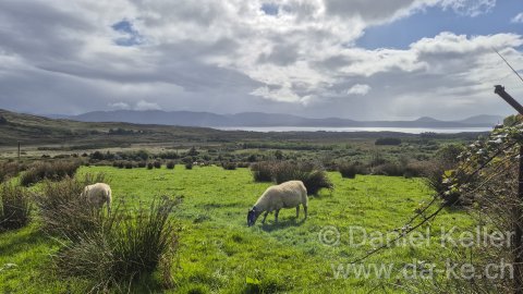 Irland 2026
